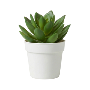 Artificial Mini Succulent Plant