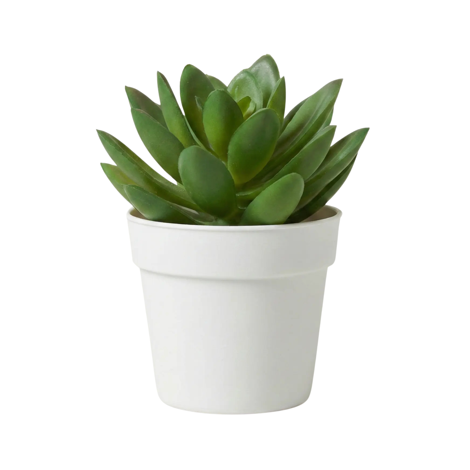 Artificial Mini Succulent Plant
