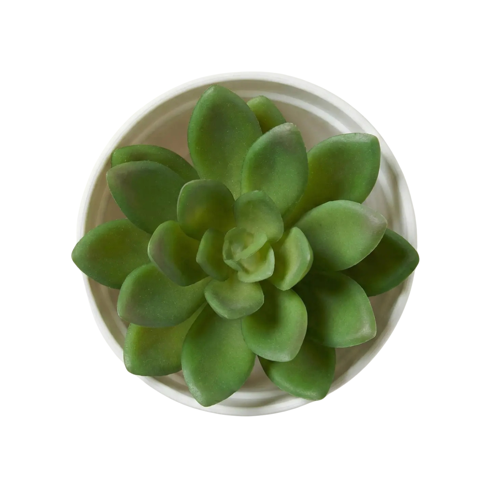 Kamanvases Artificial Mini Succulent Plant - Image 2