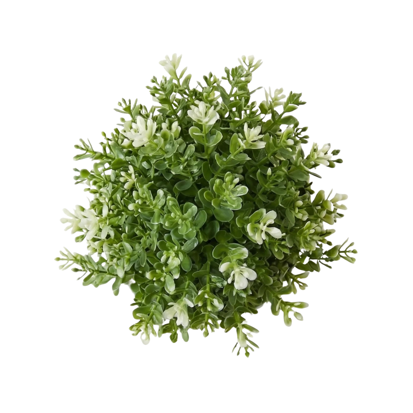 Kamanvases Small Artificial Green Plant - Image 2