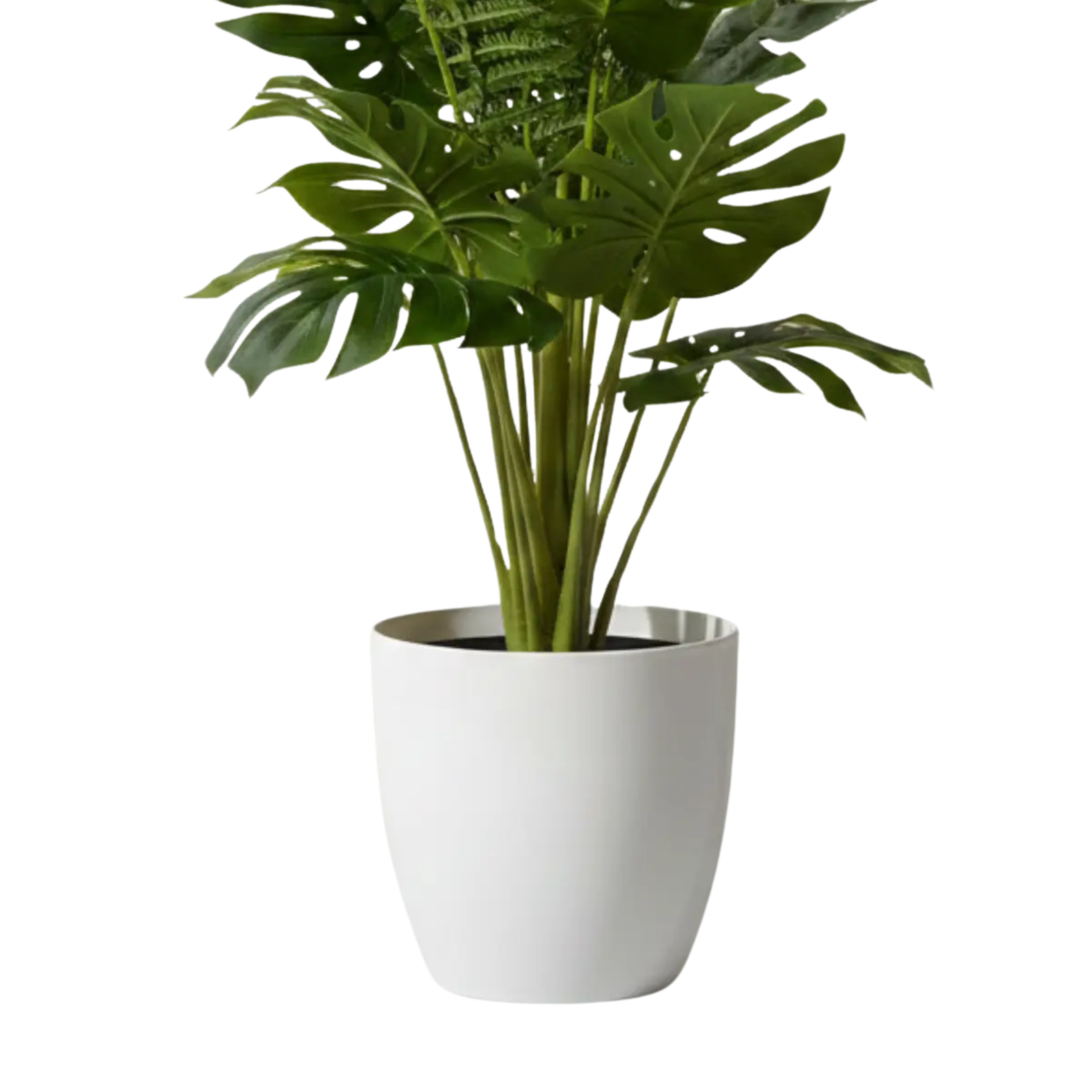 Kamanvases Artificial Mini Monstera Plant - Image 3