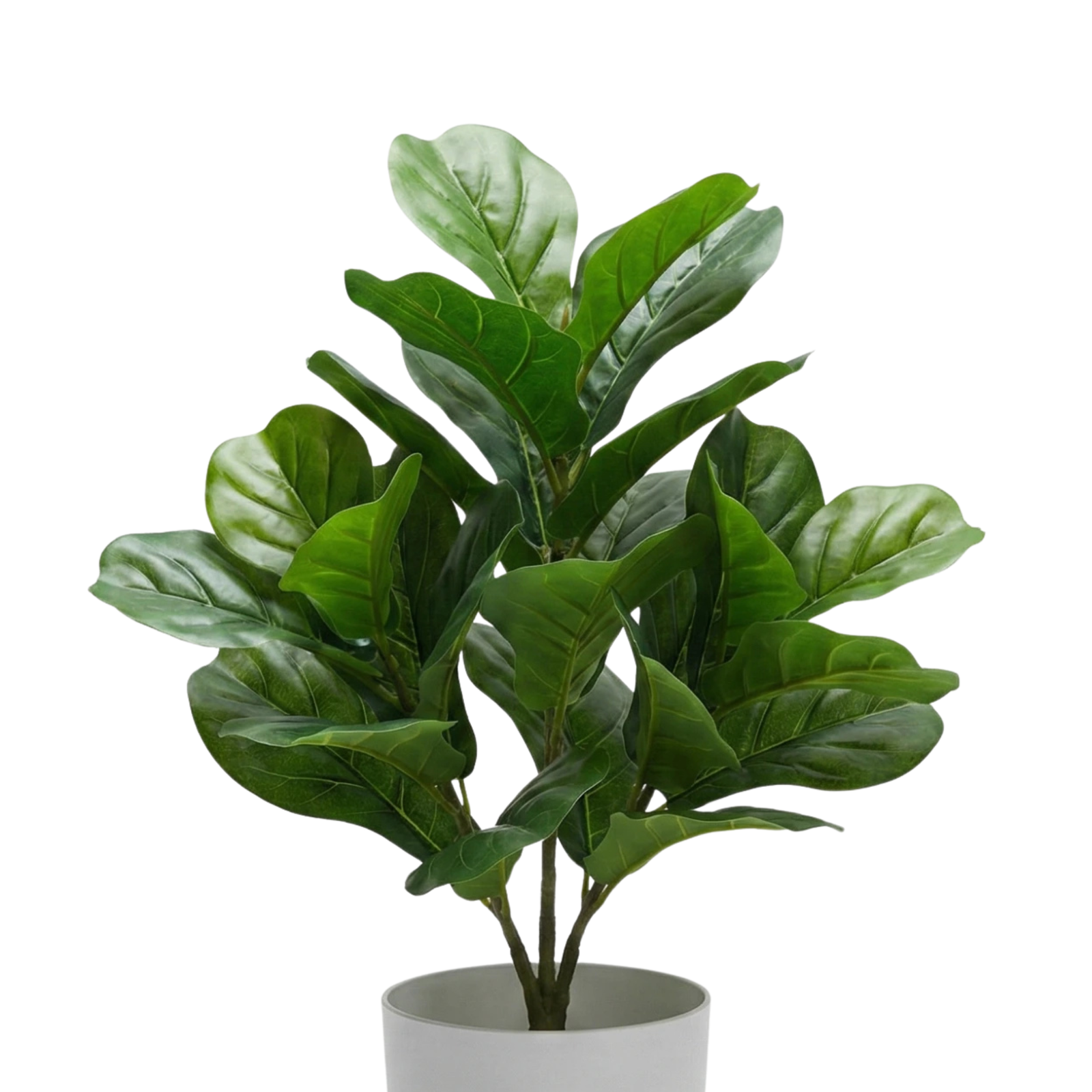 Kamanvases Artificial Mini Fiddle Leaf Fig Plant - Image 4