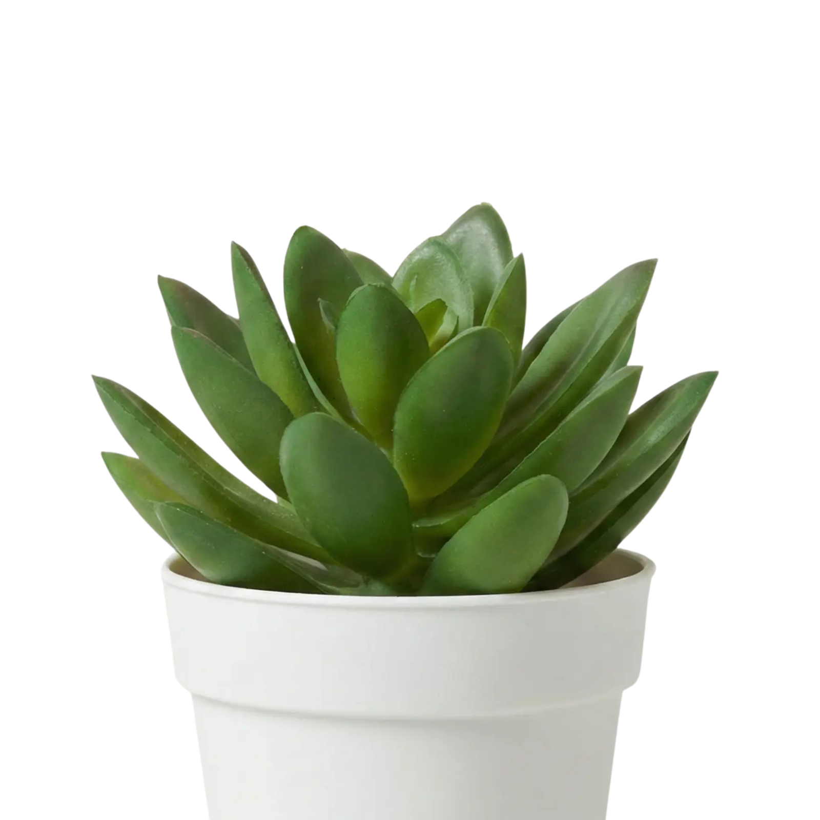 Kamanvases Artificial Mini Succulent Plant - Image 4