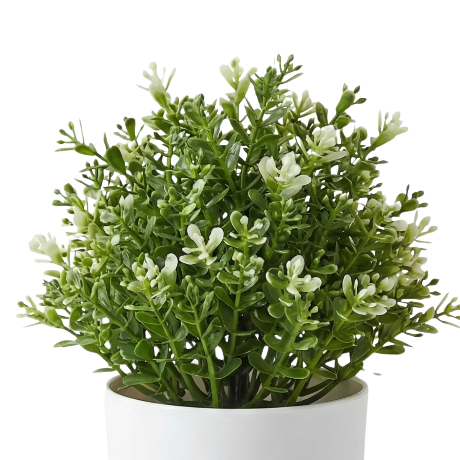 Kamanvases Small Artificial Green Plant - Image 4